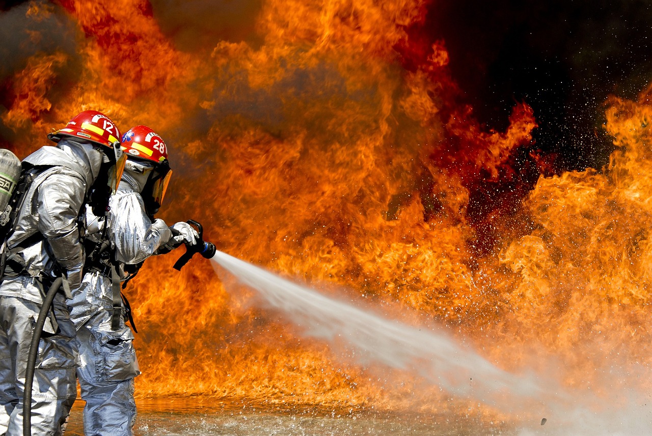 Queimadas nas Florestas do Brasil em 2024: Um Desafio Ambiental Urgente